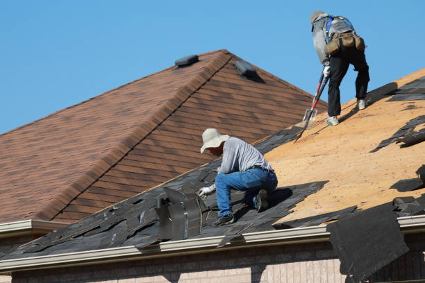 Waterproofing in Las Flores, CA