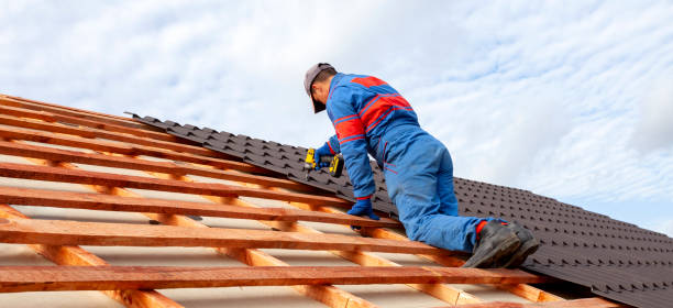 Best Chimney Flashing Repair  in Las Flores, CA