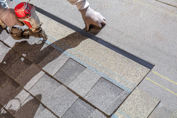 Best Solar Panel Roofing Installation  in Las Flores, CA